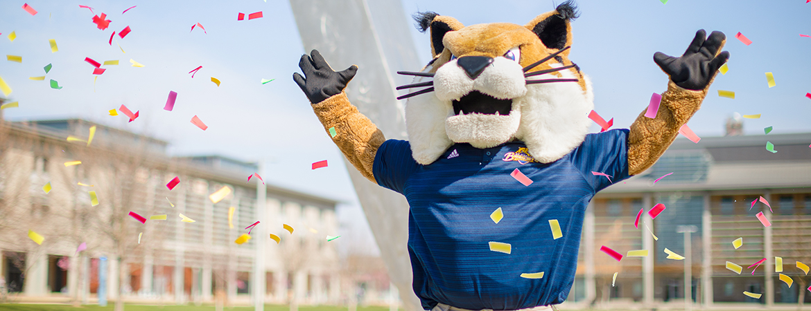 Rufus Bobcat with Confetti